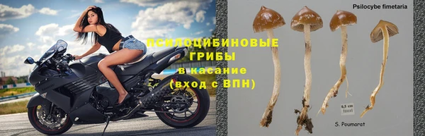 меф Армянск