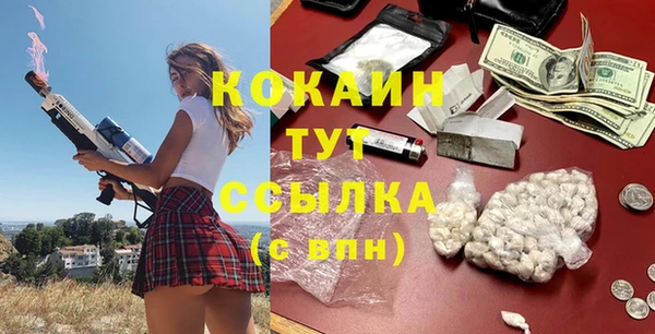 винт Алексин