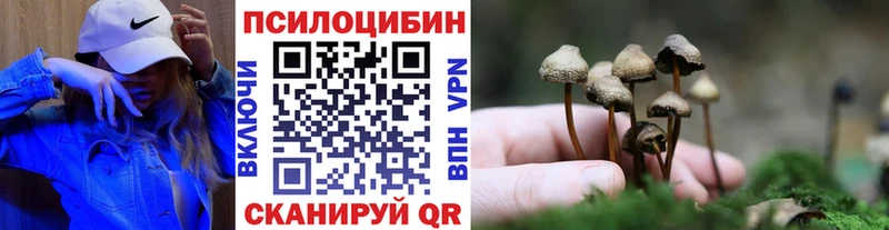 купить   Бологое  Псилоцибиновые грибы прущие грибы 